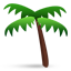 palm tree